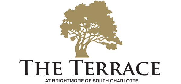 Terrace Logo