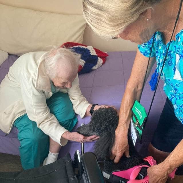 Pet Therapy with Jean and Lola